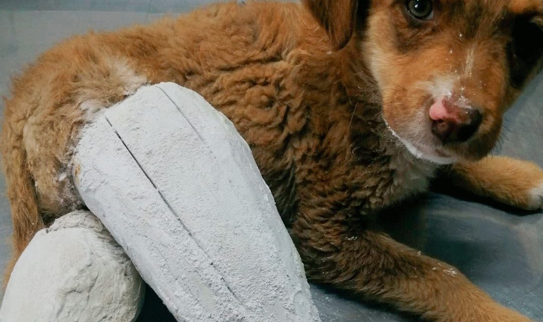 ¡Cuidado con los remedios caseros!